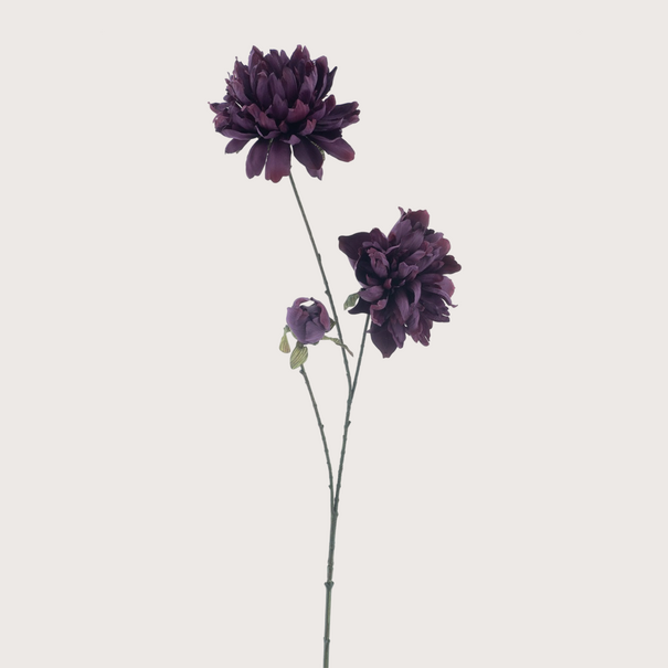Peony Purple H93