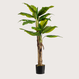 Bananen Plant Groen H140 D100