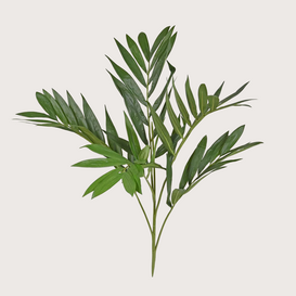 Palm Steker Deluxe H65