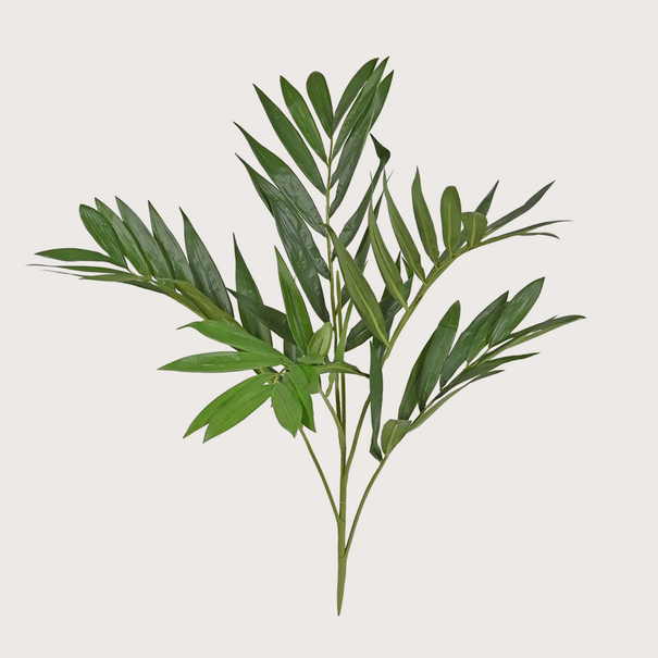 Palm Steker Deluxe H65