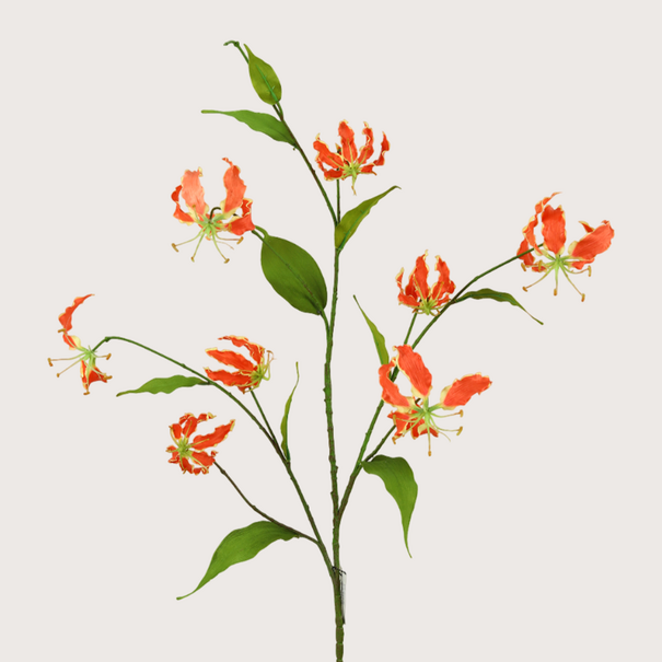 Gloriosa Branch Red H125