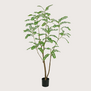 Mimosa Boom H210 D120