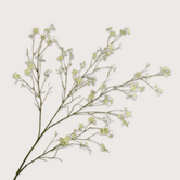 Blossom Branch Green H130