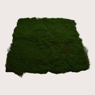Moss base for Greenwall L100 B100