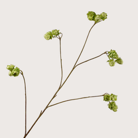 Green hop branch, 108 cm