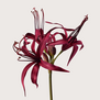 Lily Branch Purple H90