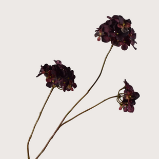 Hydrangea Branch Red/Brown H85