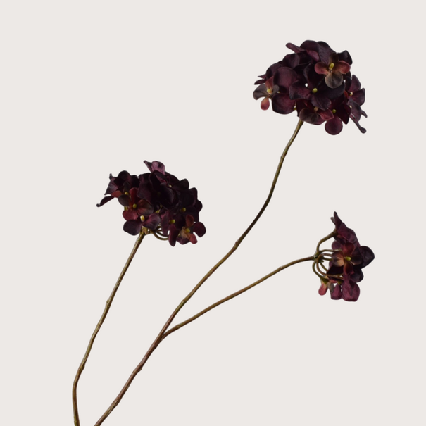 Hydrangea Branch Red/Brown H85