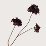 Hydrangea Branch Red/Brown H85