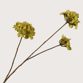Hydrangea Branch Green H85