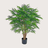 Mimosa Boom UV H110 D80