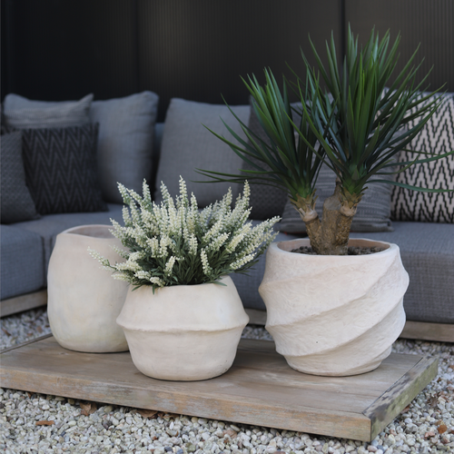UV-bestendige planten