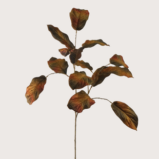 Magnolia Tak Groen/Bruin H124