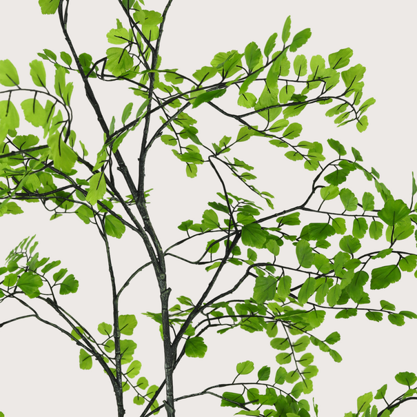 Celery Leaf Plant, Green H230