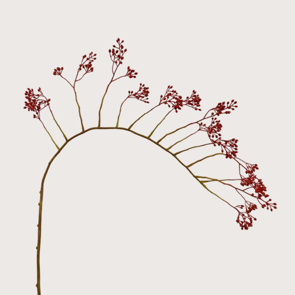 Rosehip Branch, Red, H140