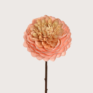 Dahlia Perzik H60