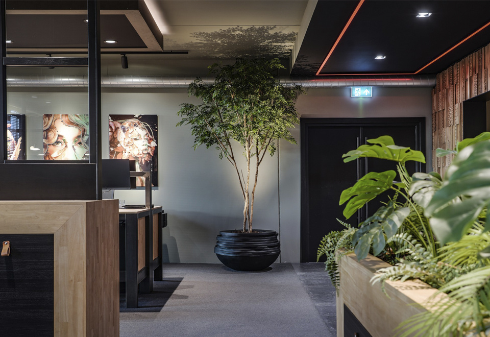 Ofiicedesign MoreSenz