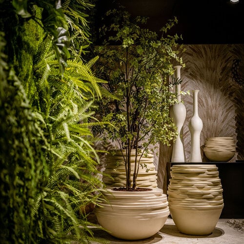 Flowers & Plants