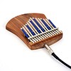 Hugh Tracey Alto Kalimba Trade Mark met pick-up, Hugh Tracey