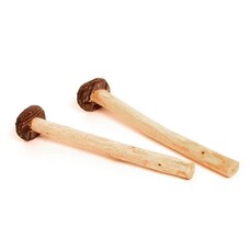 StigSlag Balafoonstok bol/schijf met rubberband (per stuk)