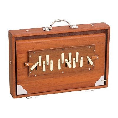 Shruti Box, Medium, C tot C, India (incl. tas)