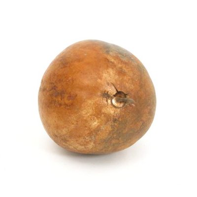 Bouba Percussion Kalebas compleet, rond, Ø 30 - 35 cm