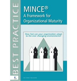 MINCE maturity model