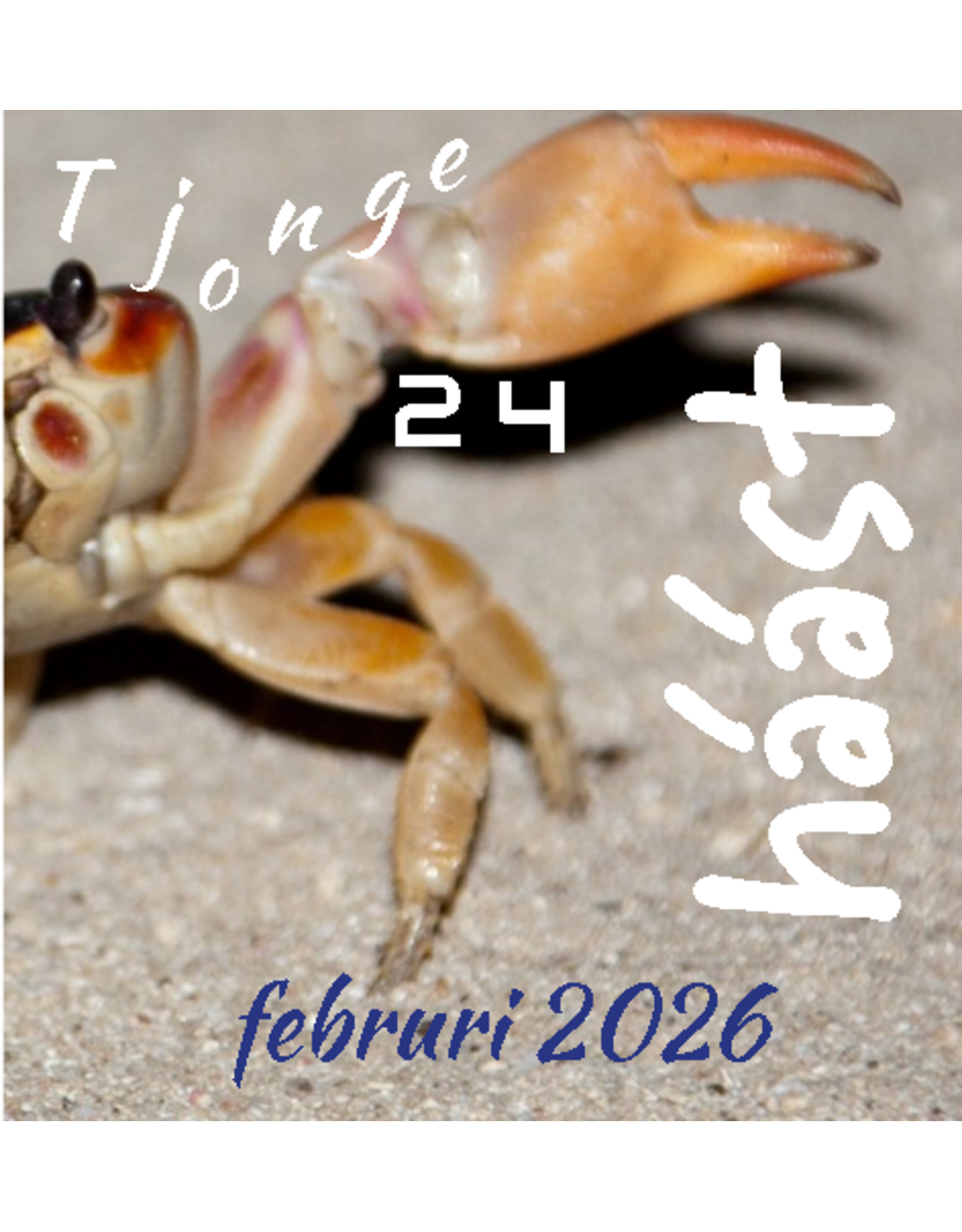 Tjonge-24 - vir natalicius mortuus