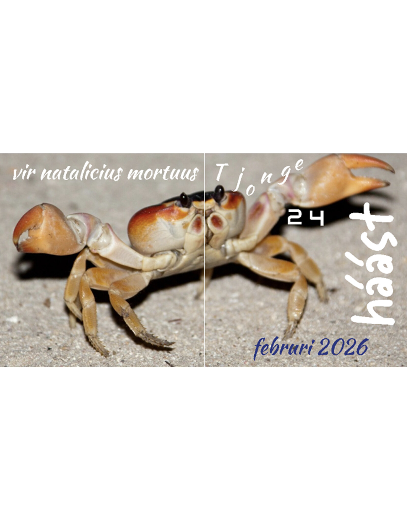 Tjonge-24 - vir natalicius mortuus