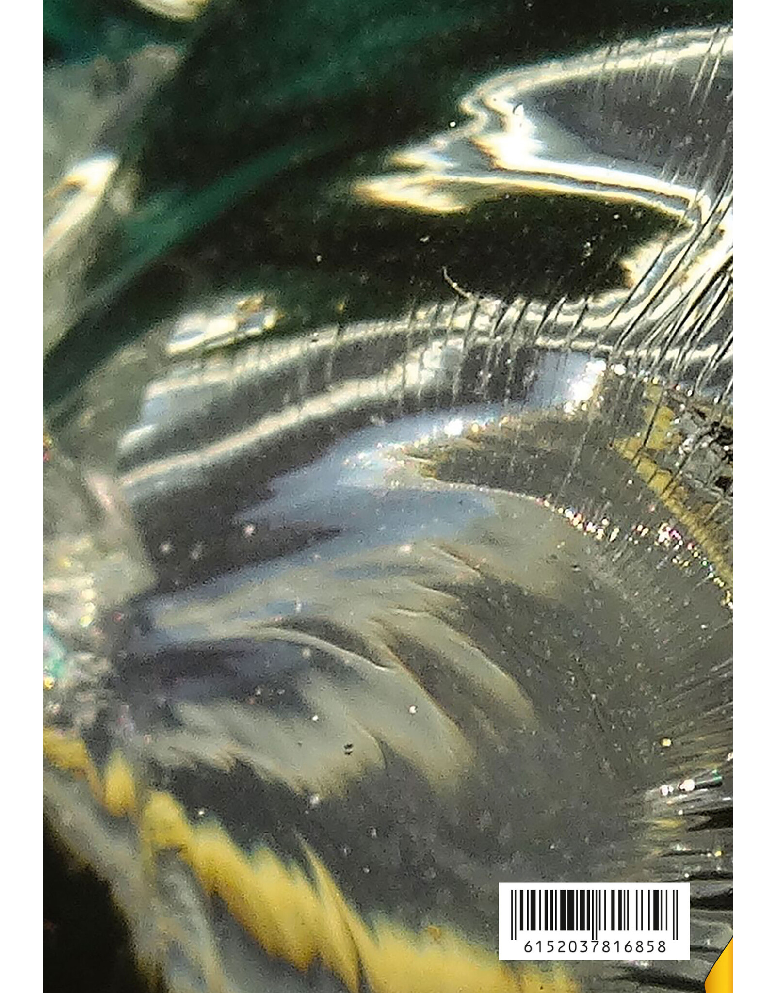 periodieken Fantastische Vertellingen, nr. 78,  jrg. 47, juni 2026