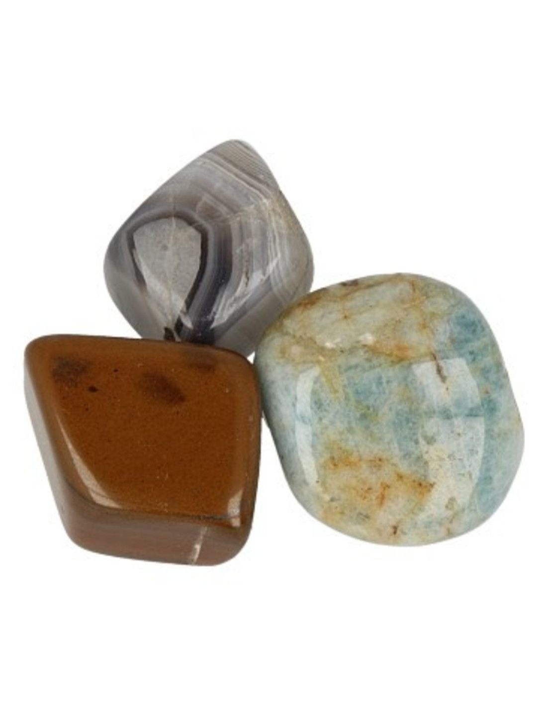 https://cdn.webshopapp.com/shops/196604/files/367808328/file.jpg