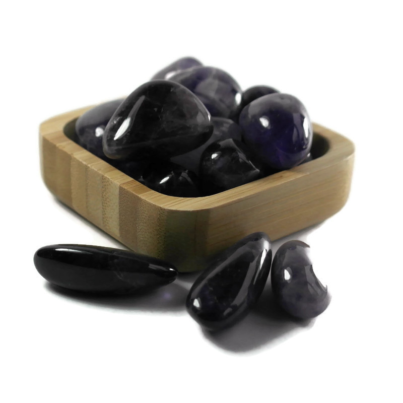 https://cdn.webshopapp.com/shops/196604/files/396553006/file.jpg