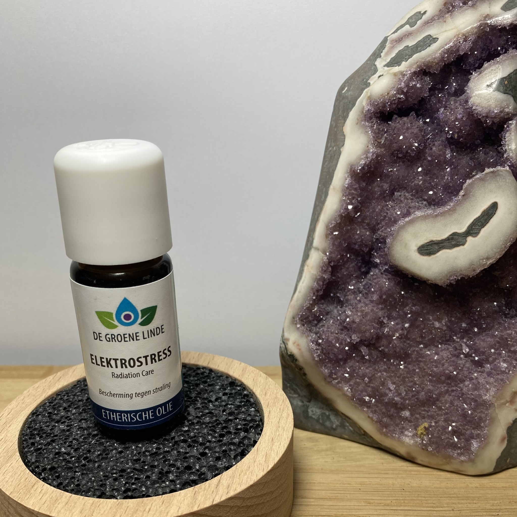https://cdn.webshopapp.com/shops/196604/files/415626099/file.jpg