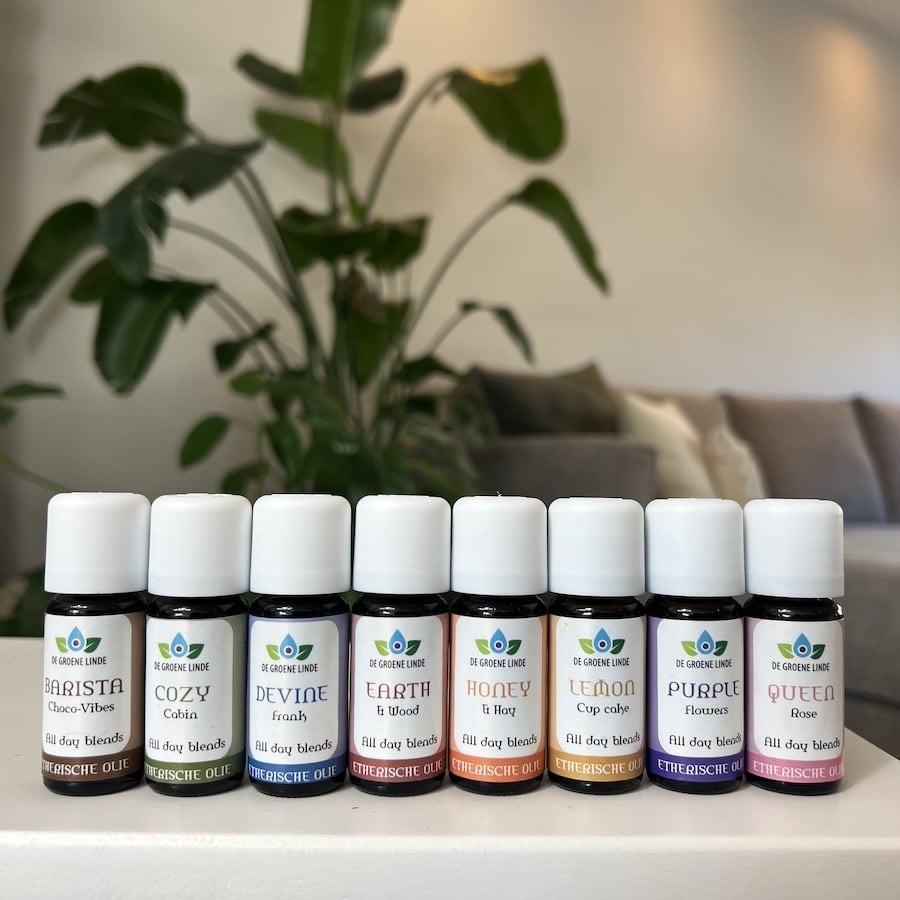 https://cdn.webshopapp.com/shops/196604/files/440517399/file.jpg
