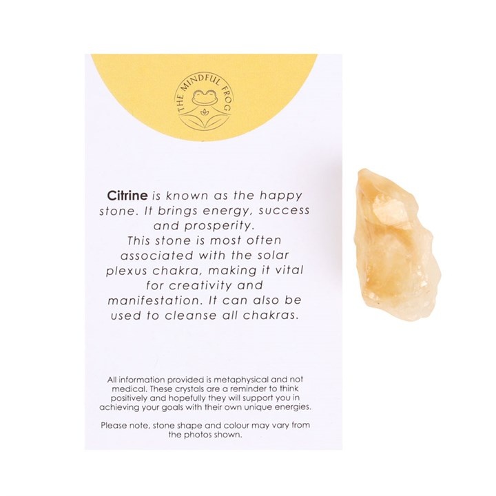 https://cdn.webshopapp.com/shops/196604/files/470524164/file.jpg