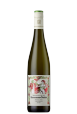 2022 - Bassermann-Jordan, Riesling Trocken Gutswein