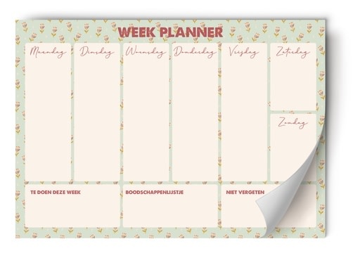 Enfant Terrible Weekly planner Mint