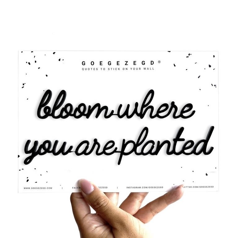 Goegezegd Goegezegd quote 'bloom where you are planted' black