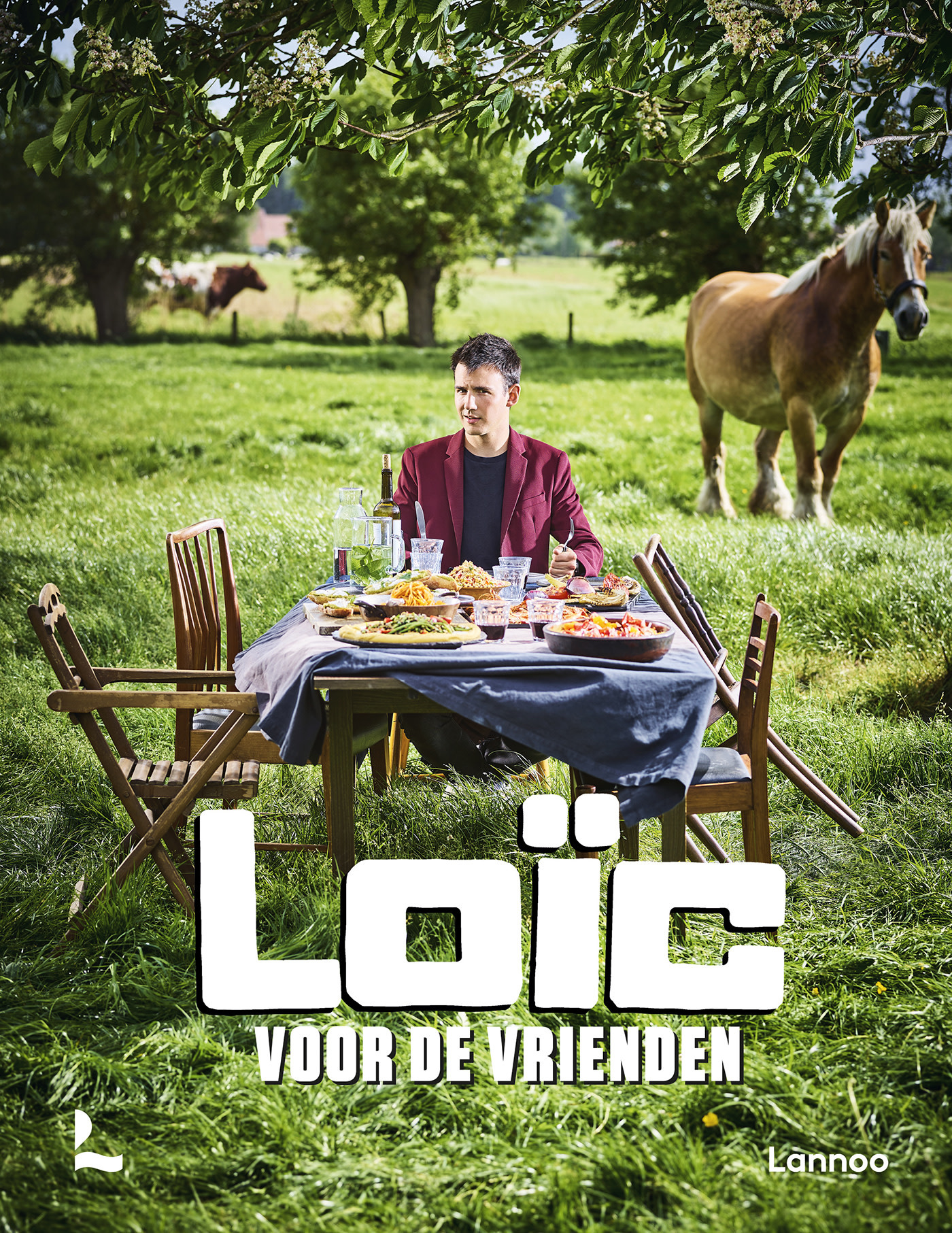 Voor de vrienden - Loïc Van Impe