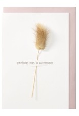 Papette Papette greeting card + enveloppe Fleur 'Proficiat met je communie'