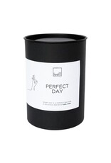 Leeff Tea "Perfect day"