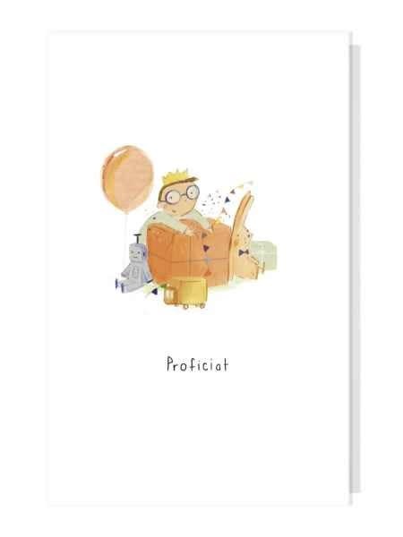 Papette Papette greeting card + enveloppe - proficiat cadeau - jongen