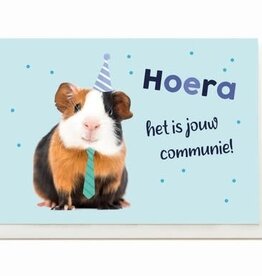 Enfant Terrible Enfant Terrible card  + enveloppe 'Hoera het is jouw communie'