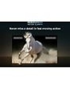 TCL 43V6C | 43" 4K Ultra HD DLED Smart TV | Google TV | Dolby Vision | 60Hz | HDMI 2.1