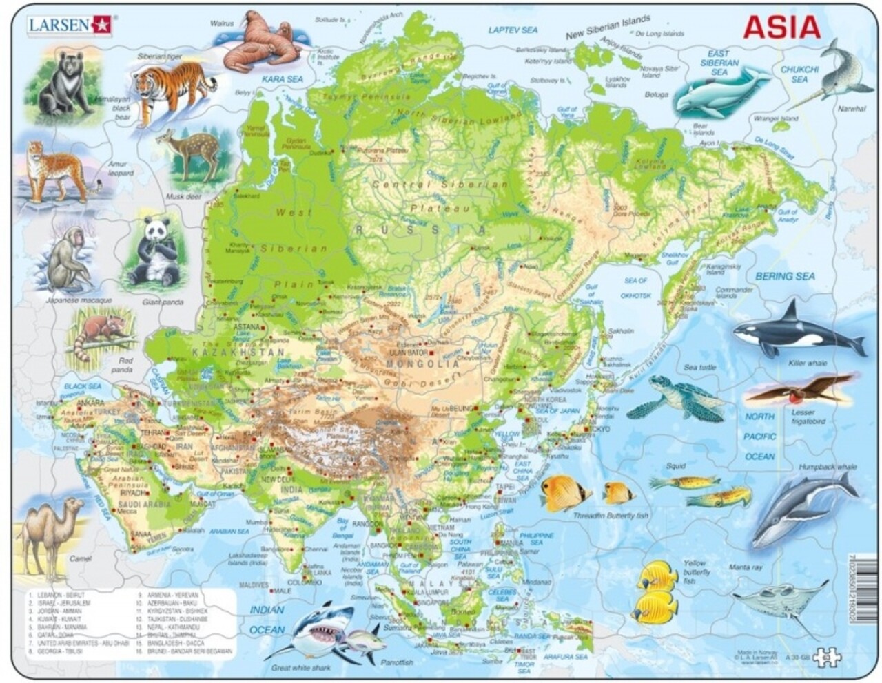 Larsen Larsen Asia Puzzle - Physics - 63 parts Larsen Larsen Asia Puzzle - Physics - 63 parts