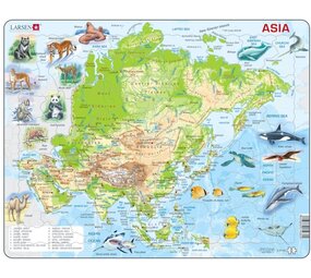 Larsen Larsen Asia Puzzle - Physics - 63 parts Larsen Larsen Asia Puzzle - Physics - 63 parts
