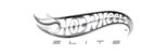 Hotwheels Elite