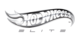 Hotwheels Elite