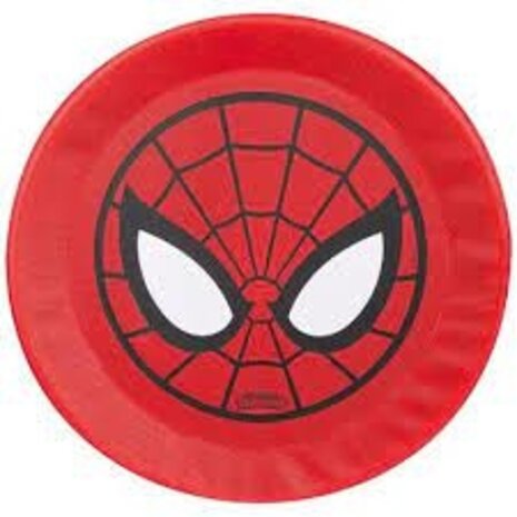 Foam Frisbee 42cm