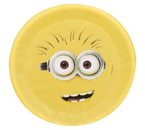 Foam Frisbee 42cm Foam Frisbee 42cm